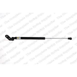 lesjofors Passenger Side Liftgate Lift Support for 1996 Kia Sportage - 8144219