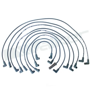 Walker Products Spark Plug Wire Set for Chevrolet El Camino - 924-1423