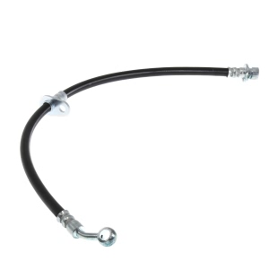 Centric Front Passenger Side Brake Hose for 2001 Honda Civic - 150.40075