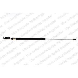 lesjofors Passenger Side Liftgate Lift Support - 8188301