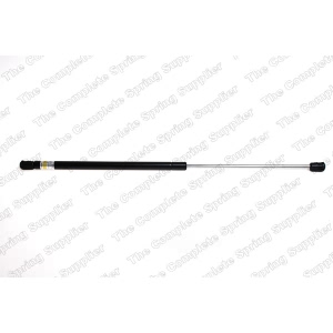 lesjofors Liftgate Lift Support for 2005 Volkswagen Beetle - 8195037