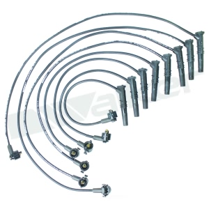 Walker Products Spark Plug Wire Set for 1997 Ford Mustang - 924-1402