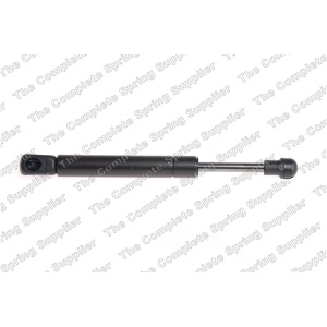 lesjofors Trunk Lid Lift Support for 2005 Volkswagen Beetle - 8195072