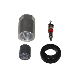 Denso TPMS Sensor Service Kit for Nissan - 999-0620