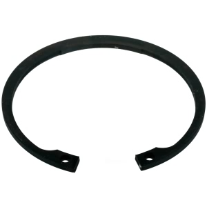 SKF Rear Wheel Bearing Retainer for 2005 Mercedes-Benz C55 AMG - CIR200
