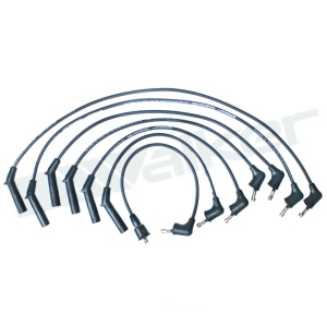 Walker Products Spark Plug Wire Set for Chrysler Voyager - 924-1794