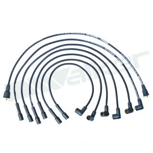 Walker Products Spark Plug Wire Set for Mercury Capri - 924-1609