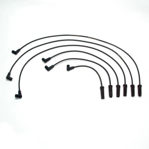 Delphi Spark Plug Wire Set for 2000 Buick Regal - XS10245