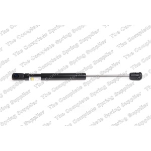 lesjofors Hood Lift Support for Volvo - 8095807