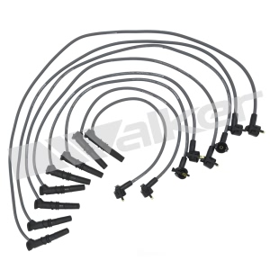 Walker Products Spark Plug Wire Set for Ford - 924-1403