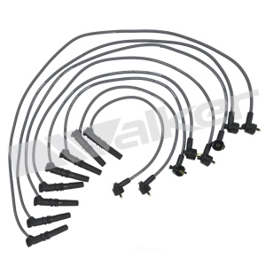 Walker Products Spark Plug Wire Set for 1999 Ford F-150 - 924-1403