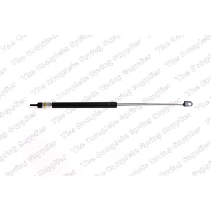 lesjofors Hood Lift Support for 1990 Audi 100 - 8004206