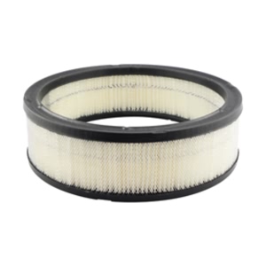 Hastings Air Filter for Buick LeSabre - AF60