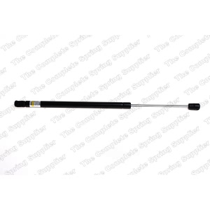 lesjofors Liftgate Lift Support for 2000 Ford Focus - 8127547