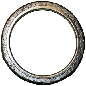 Bosal Exhaust Pipe Flange Gasket for Volvo - 256-1123