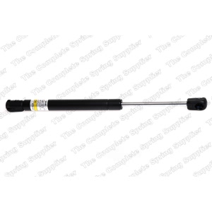 lesjofors Trunk Lid Lift Support for 1994 BMW 325is - 8108402