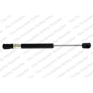 lesjofors Trunk Lid Lift Support for 1997 BMW 318is - 8108402