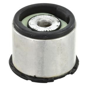 Delphi Rear Lower Subframe Bushing for 2006 Audi A4 - TD1095W