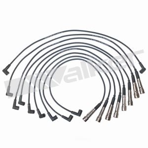 Walker Products Spark Plug Wire Set for Mercedes-Benz - 924-1381