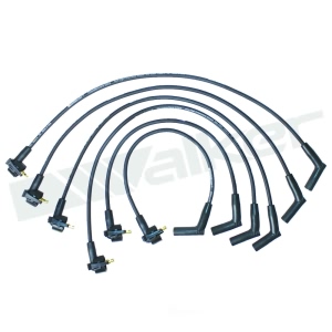 Walker Products Spark Plug Wire Set for 2000 Ford Taurus - 900-1792