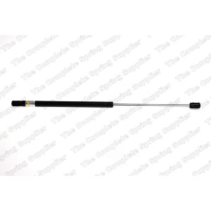 lesjofors Hood Lift Support for Audi - 8004215