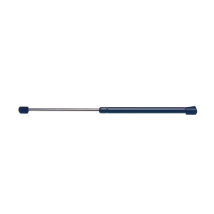 StrongArm Hood Lift Support for 2012 Chrysler 300 - 6558