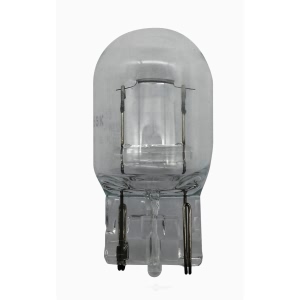 Hella 7440Tb Standard Series Incandescent Miniature Light Bulb for 1997 Toyota 4Runner - 7440TB