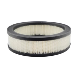 Hastings Air Filter for 1984 Pontiac Firebird - AF838