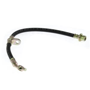 Centric Rear Passenger Side Brake Hose for 1987 Acura Legend - 150.40317