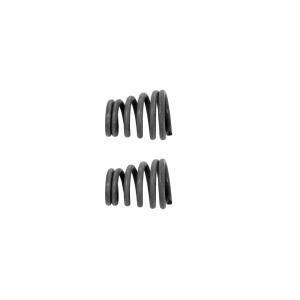 Walker Exhaust Springs for Chevrolet S10 Blazer - 35281