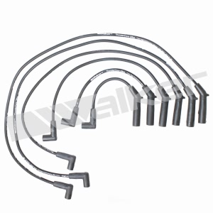 Walker Products Spark Plug Wire Set for Eagle Vision - 924-1348