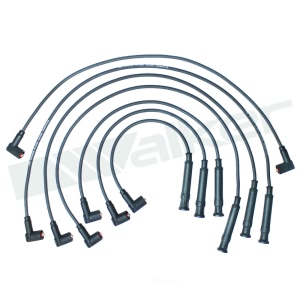 Walker Products Spark Plug Wire Set for 1984 BMW 633CSi - 924-1862