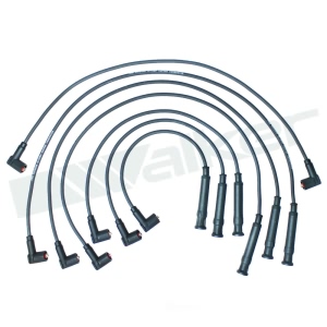 Walker Products Spark Plug Wire Set for 1984 BMW 533i - 924-1862