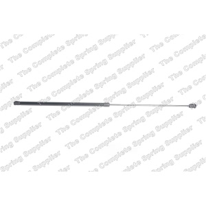 lesjofors Hood Lift Support for Volkswagen - 8095021