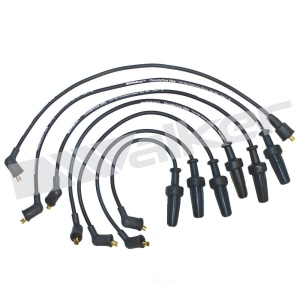 Walker Products Spark Plug Wire Set for Peugeot - 924-1261