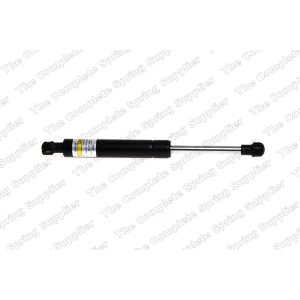 lesjofors Hood Lift Support for Volvo S60 - 8095806