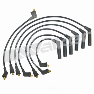 Walker Products Spark Plug Wire Set for Hyundai Sonata - 924-1287