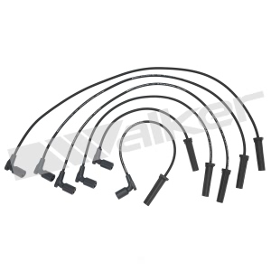 Walker Products Spark Plug Wire Set for Buick Lucerne - 924-2047