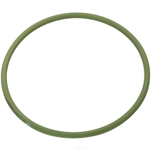 Spectra Premium Fuel Tank Lock Ring for 2012 Nissan NV3500 - LO103