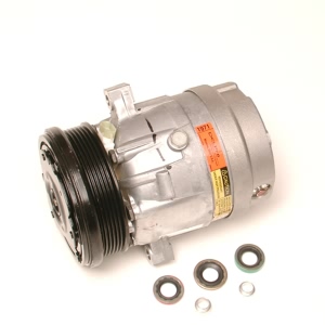 Delphi A C Compressor With Clutch for 2004 Buick Park Avenue - CS20009