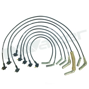 Walker Products Spark Plug Wire Set for Ford - 924-1518