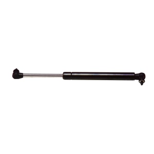 StrongArm Liftgate Lift Support for 2001 Chrysler Voyager - 4535