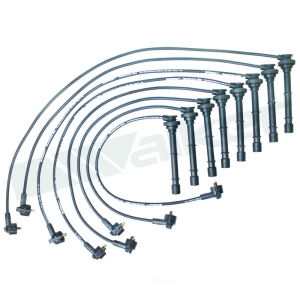 Walker Products Spark Plug Wire Set for Ford - 924-1479