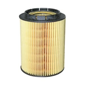 Hastings Engine Oil Filter Element for 2006 Volkswagen Touareg - LF577