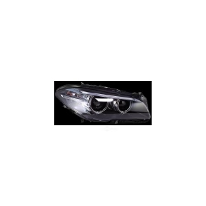 Hella Headlight Assembly for 2014 BMW ActiveHybrid 5 - 011087961