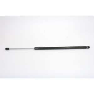 StrongArm Liftgate Lift Support for Chrysler - 6257