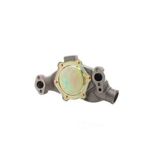 Dayco Engine Coolant Water Pump for Chevrolet C20 Suburban - DP1313