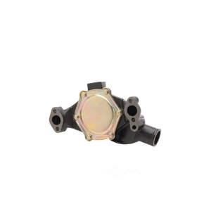 Dayco Engine Coolant Water Pump for Chevrolet Corvette - DP1331