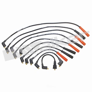 Walker Products Spark Plug Wire Set for 1987 Nissan Stanza - 924-1128