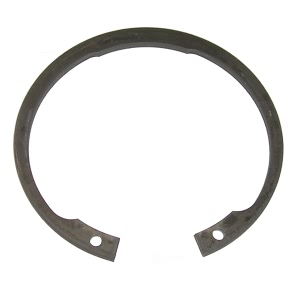 SKF Front Wheel Bearing Lock Ring - CIR63